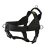 Dean & Tyler DT Universal No Pull Dog Harness -