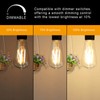 Ascher Dimmable Vintage LED Edison Bulbs, 6W, Equivalent 60W, 700