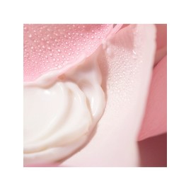 [1+1] Nuxe Berry Rose Melting Cleansing Milk 200ml / [1+1] 눅스 베리로즈 멜팅 클렌징 밀크 200ml