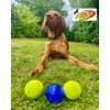 Nerf Dog Balls, Pack of 3