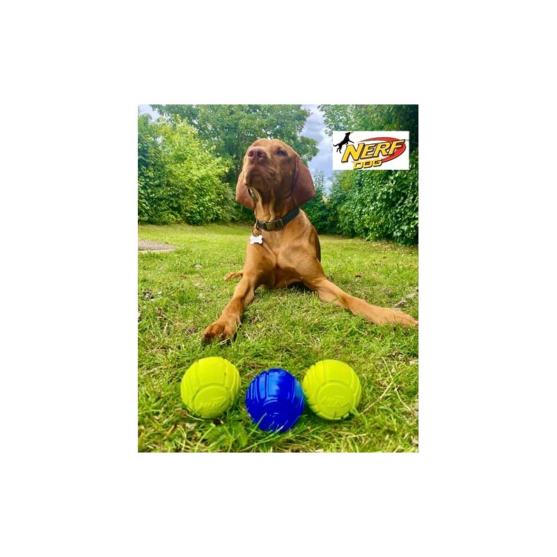 Nerf Dog Balls, Pack of 3