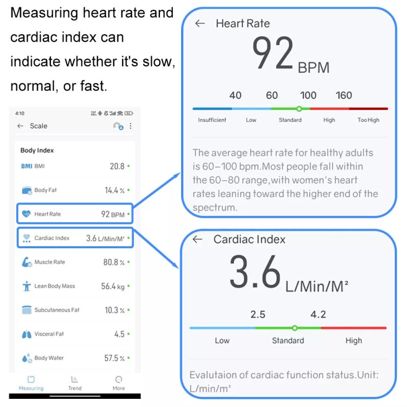 Wellue Rechargeable Large Display Weight Scale Body Scale Bathroom Scale