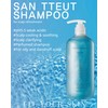 FIT YOUR SKIN SAN TTEUT Scalp Refreshment Hair Shampoo -