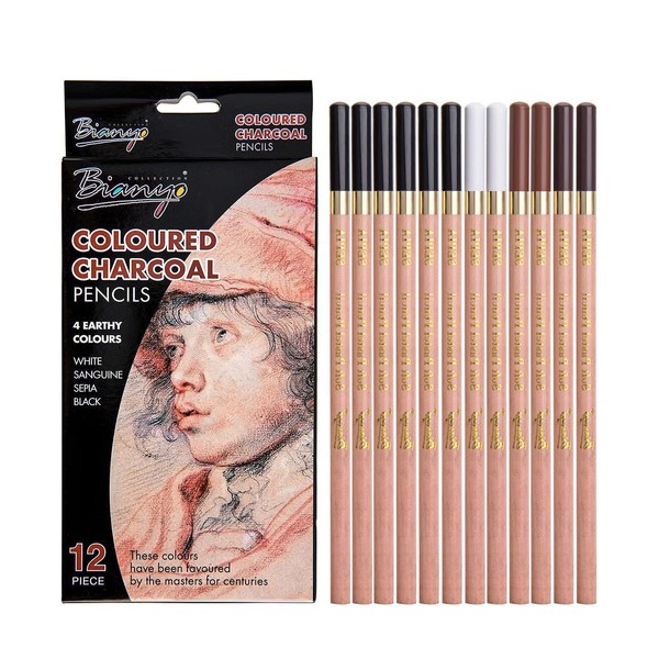 12Pcs Coloured Charcoal Pencil Set,4 Colors Charcoal Drawing Pencils Art