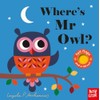 Where's Mr Owl? (Felt Flaps)