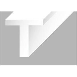 Evergreen 70EG768 Scale Model Plastic Rod, T's Shape, Thickness 0.2 inches (6.5 mm) x Width 0.2 inches (6.5 mm), Set of 2, Model Material