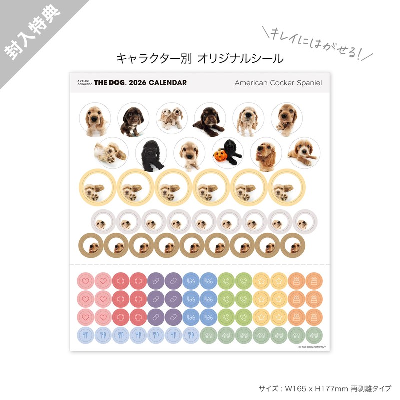 THE DOG 2026 Wall Calendar, Mini Size (American Cocker Spaniel)