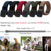 LionVII Men Elastic Stretch Canvas Belt with Plastic Buckle, Breathable