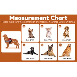 Doggie Stylz Service Dog Vest Harness and Leash Set with 10 Patches Reflective, No-Pull Service Dog Harness for Small, Medium and Large Dogs Emotional Support Dog Vest, Service Dog in Training Vest