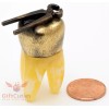 Brass Amber Tooth Shaped Figurine with pliers dentist's present IronWork