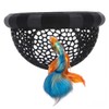 2 pezzi Betta hamac pour poisson betta giocattolo galleggiante, accessori