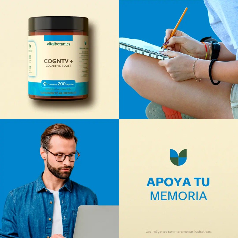 Vital Botanics Suplemento Alimenticio Nootrópico Multivitamínico Mujer Hombre Vitaminas Teanina