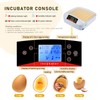 Egg Incubator ，56 Eggs Fully Automatic Egg Incubator with LED