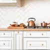 Ravinte 30 Pack Champagne Bronze Round Zinc Cabinet Knobs for