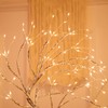 Hwylizg Fairy Light Spirit Tree,20" Tabletop Bonsai 108 LED Tree