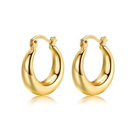 Earrings Silver / Gold Hoop Earrings 925 Silver Small Chunky for Women Girls Diameter: 18 mm, 20 mm, Silver