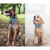 Unique style paws Blue Plaid Dog Collar with Bow Cute