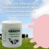 Balsamo Blanco Y Pomada Para Golpes Ubresol
