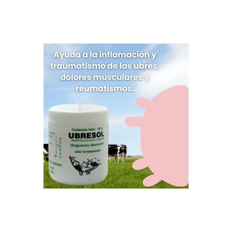 Balsamo Blanco Y Pomada Para Golpes Ubresol