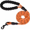Heavy Duty Rope Dog Lead 5FT – Durable Anti-Slip Leash