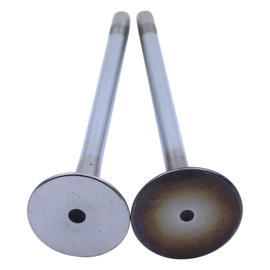 Inlet Valve Outlet Valve with Valve Stem Seal for Passat Golf 6 5 T5 T6 Sciro-cco Ti-guan Shar-an Tour-an Je-tta A1 8X A3 8P 8V A4 B8 A5 A6 C6 Q3 TT Altea Exeo Leon Toledo Octa-via Superb 2.0 TDI