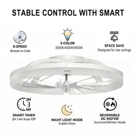 24" Ceiling Fan with Light, Flush Mount, Remote Control, White