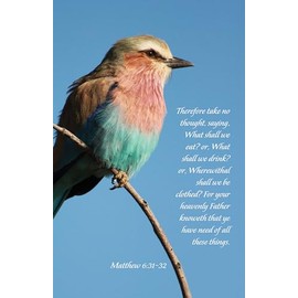 General Worship Bulletin: Your Heavenly Father Knoweth (Package of 100): Matthew 6:31-32 (Kjv)