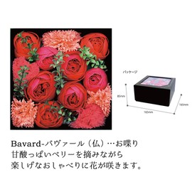 Champ de Fleur Berry Scented Gift Box Petal Bath Petals Bavar Red OB-EGN-1-2