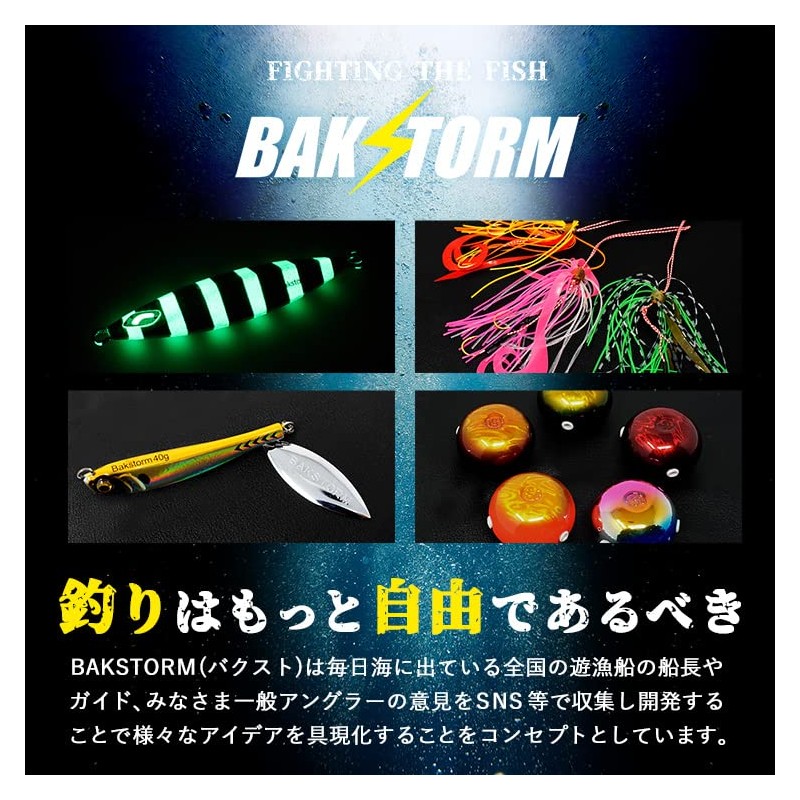 Slow Fall Wing Shiny Model Metal Jig 80g Lure Jig