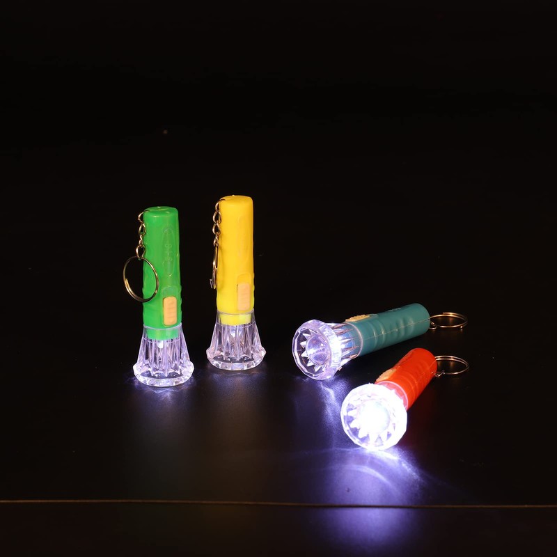 FRIUSATE 20Pcs Mini Torches Keyring Small LED Keyring Torch LED