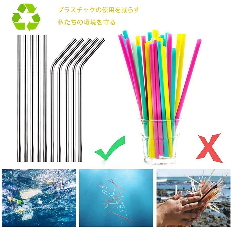 2 Stainless Steel Straws with Cleaning Brush, Reusable Eco Straws,