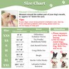 Mayerzon Dog Muzzle, Puppy Soft Mesh Muzzle for Small Medium