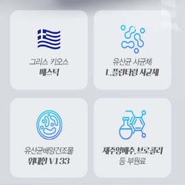 Mastic Lactobacillus Lactiplantibacillus Mastic Lactobacillus 90 tablets / 매스틱유산균 락티플란티바실러스 메스틱유산균 90정