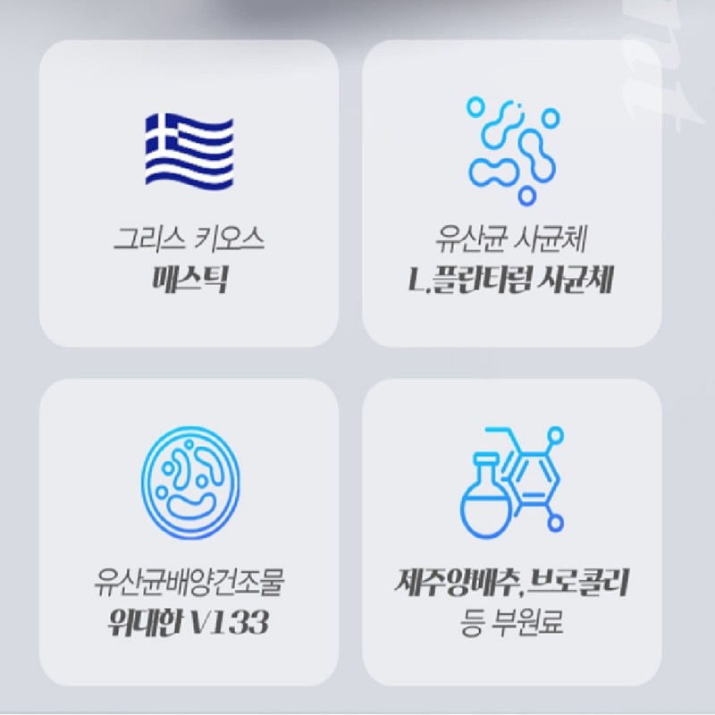 Mastic Lactobacillus Lactiplantibacillus Mastic Lactobacillus 90 tablets / 매스틱유산균 락티플란티바실러스