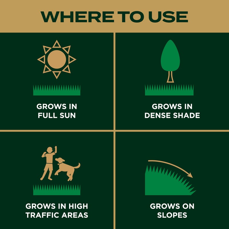 Scotts EZ Seed Patch & Repair Southern Gold Blend for