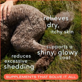 Native Pet Native Pet Omega 3 Fish Oil for Dogs 8 oz C Made with Wild Alaskan Salmon Oil for Dogs C EPA DHA C Supports Itchy Skin, Mobility C Easy-Serve Liquid Pump - Puppy Essentials