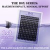 B&Q Wispy Lash Clusters Kit B19, DIY Lash Extension Kit