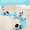 Turbo Tail 3.0 Cat Toy, Remote Control Cat Toy with