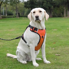 PenSeepet Dog Harness No Pull Dog Harness with 2 Leash Clips,Reflective No-Choke Adjustable Soft Padded Vest Oxford Vest and Easy Control Handle,Information Cards for Large Dogs Orange,L