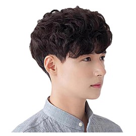Katsura Men's Wig, Mash, Perm, Full Wig, Short, Curly, Loose Wig, Curly Hair, Popular, Fashion, Handsome, Handsome, Cosplay, Small Face, Heat Resistant (Brown)