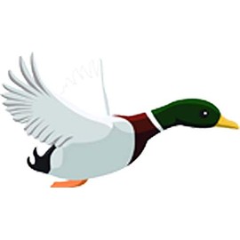 Mallard Duck Pond Animal Biology Bird Ornithology Cartoon Vinyl Sticker (2" Wide, Flying Side)