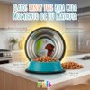 Fancy Pets Plato de Colores Surtidos para Perro con 32