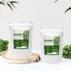 Gapdang Herbal 갑당약초 컬리케일 추출 분말 가루 250g 3팩 총