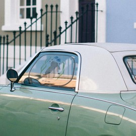 Mr. & Mrs. Panda Car Sun Shade Rabbit Flower - Easter Gifts, Easter Decoration, Gift, Easter Gifts, Car Sun Visor, Child, Sun Protection Car