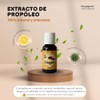 Extracto de propóleo 100% natural. Producto artesanal antioxidante por excelencia