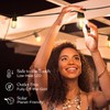 Brightech Ambience Pro Solar Powered Outdoor String Lights - Commercial