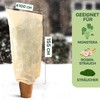 Winter protection for plants, frost protection, 155 x 100 cm,