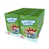 Hawaiian Punch Powder Drink Mix – Sugar Free & Delicious,
