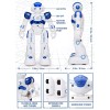 KingsDragon RC Robot Toys for Kids Gesture & Sensing Programmable
