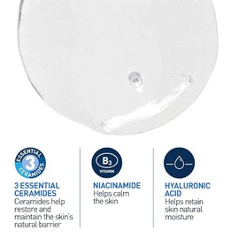 CeraVe Gel Limpiador Espumoso Diario para Uso de Día o Noche, para Piel Mixta, Grasa o con Acné, Anti Puntos Negros, Hipoalergénico y Libre de Paraben